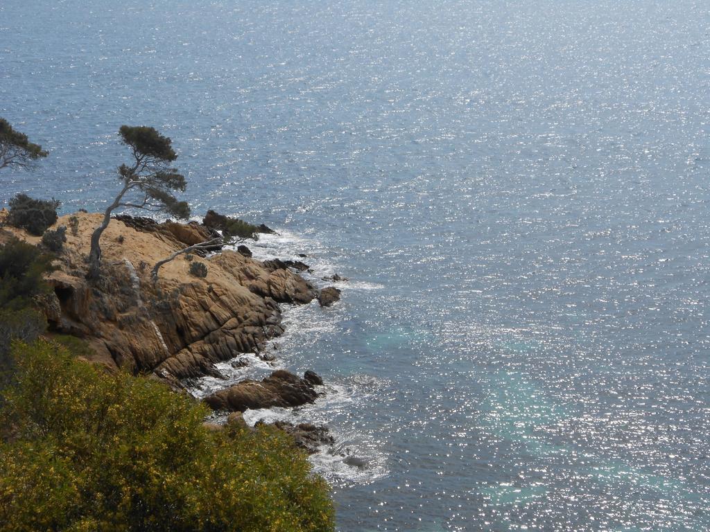 Sowell Hotels Du Golfe De Saint-Tropez Grimaud Esterno foto